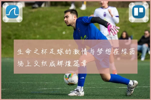 生命之杯足球的激情与梦想在绿茵场上交织成辉煌篇章
