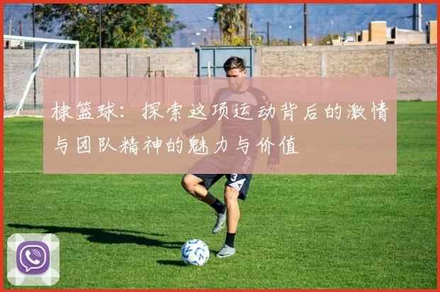 棣篮球：探索这项运动背后的激情与团队精神的魅力与价值